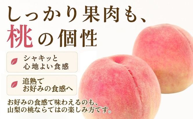 【2027年発送！ 先行予約】日本一の産地山梨県産　朝採れ桃　約２kg(５～８玉） FB001