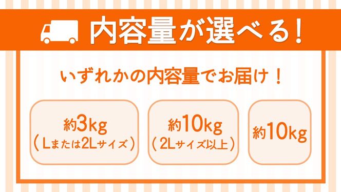 ＼ 選べる内容量 ／ 富有柿 Lまたは2L 約3kg or 2L以上 約10kg or 約10kg【10月より発送開始】（茨城県共通返礼品 [柿]：大子町産） | 柿  かき 旬 お取り寄せ フルーツ 甘い 秋の味覚