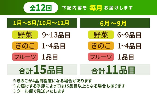 【12回定期便】豪華！野菜 セット 15品目以上 12回 定期便 / 野菜 フルーツ きのこ 詰め合わせ 南島原市 / 吉岡青果 [SCZ019]