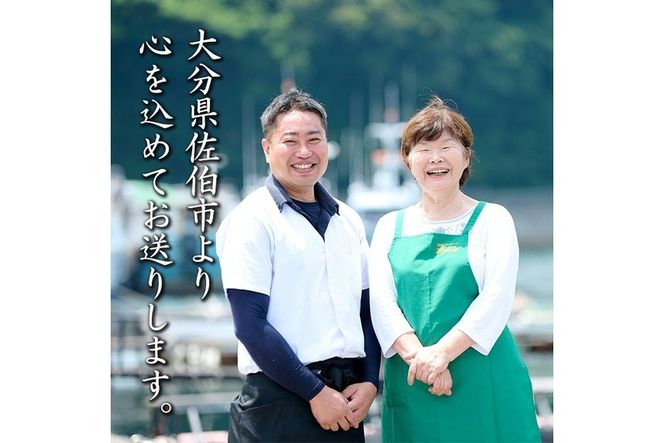 ごまだし 鯛みそ レシピ本 セット (合計550g・佐伯ごまだしレシピ本1冊・あじごまだし200g・えそごまだし200g・鯛味噌150g) 調味料 ご当地 魚 ごま レシピ 常温 【BA63】【 (株)漁村女性グループめばる】