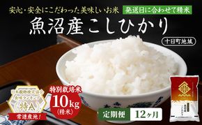 【12ヶ月定期便】特別栽培米 魚沼産こしひかり(十日町地域) 精米 10kg(5kg×2) 米 お米 コシヒカリ 定期 十日町市
