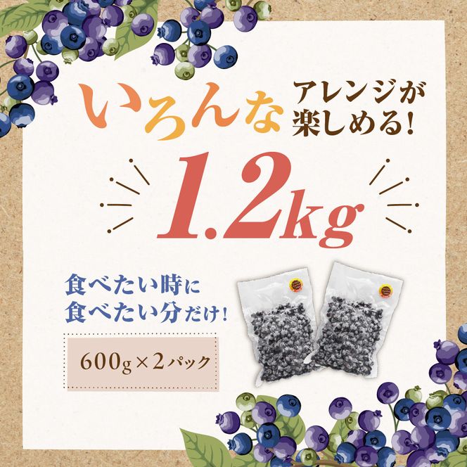 【2026年8月下旬ごろ再開予定】栽培期間中農薬不使用！急速冷凍ブルーベリー 1.2kg 【JAほたるの里】_HA1517
