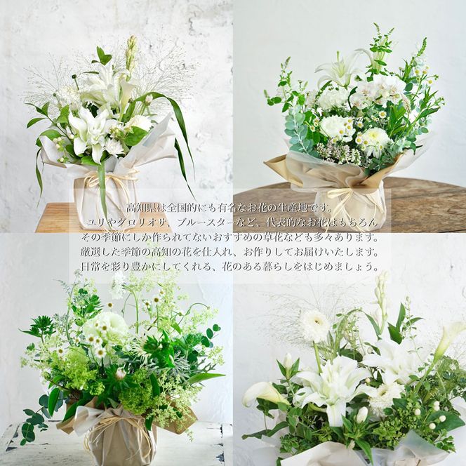 【CF-R7hbk】t174tmf　《12ヵ月定期便》生花アレンジ お供え 供花M 定期便 定期コース 全12回 フラワーアレンジメント そのまま飾れる お供え 花束 生花 仏花 供花 花束 花 法要 お盆 季節のお花 供花 お供え
