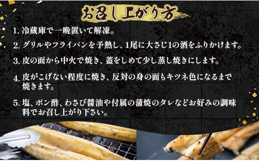 うなぎ 国産 白焼き 1kg以上 10尾×100～120g 鰻 大容量 - 蒲焼き タレ付き 国産 鰻 ウナギ 有頭 ご飯のお供 吉川水産 高知県 香南市 冷凍 yw-0082