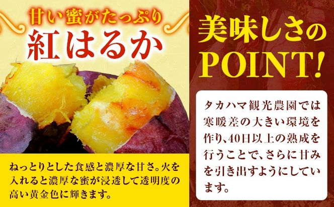 【先行予約】タカハマ観光農園 の 紅はるか 選べる 約3kg or 約5kg Sサイズ《1月上旬-5月末頃出荷》熊本県 大津町 さつまいも さつま芋 芋 スイートポテト 干し芋 焼き芋---oz_thm_12_3kg---