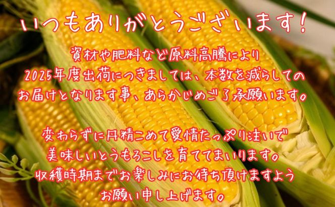 北海道産 とうもろこし 恵味 ゴールド 2L 8本 8月中旬～9月下旬頃お届け 朝採り 恵味 めぐみトウモロコシ スイート コーン 甘い 新鮮 先行受付 夏 野菜 産地直送 塩田農園 送料無料 北海道 洞爺湖町 