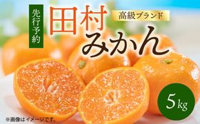G7340_【2026年11月下旬より発送】高級ブランド 田村みかん 5kg