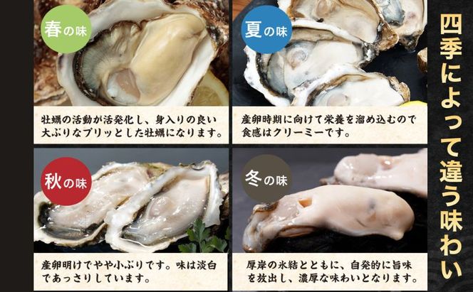 北海道厚岸産 生食用 殻付カキ Mサイズ  12個　マルえもん 魚貝類 海の幸 海のミルク 海鮮 国産 北海道産 オイスター つまみ お酒 あて 肴 生牡蠣 メルマガ掲載商品1