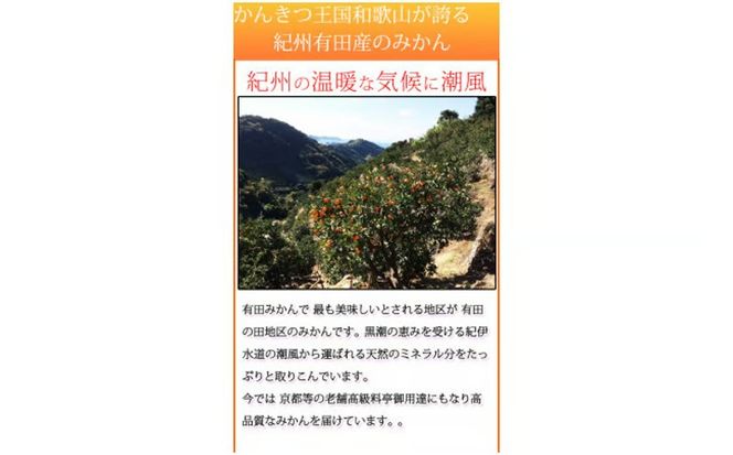 【先行予約】【ご家庭用訳あり】田村みかん　１０kg