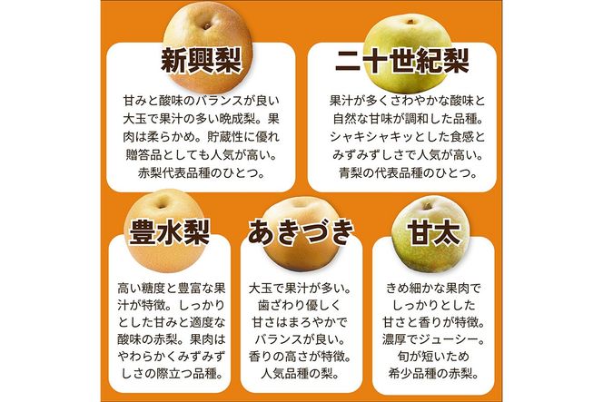 田園紳士厳選「梨好きさんのための定期便3回」（1品種（各約4〜6玉）×3回（計３品種）） 先行予約 果物 フルーツ 梨 定期便 定期 3回 20世紀 豊水 あきづき 甘太 新興 ふるさと納税 フルーツ 定期便 ふるさと納税 梨　DE00144