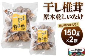 干し椎茸 原木乾しいたけ ご家庭用 150g×2袋 男鹿産 男鹿ゴルフクラブ [しいたけ 椎茸 シイタケ 乾物]|23_ogg-050201