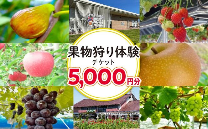 旬の果物摘み取り体験チケット　1回5,000円分　【チケット 券 】 041009_EK001