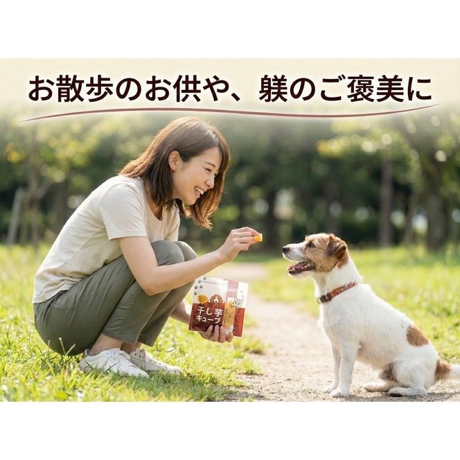 �y���s�{�T���s�z�y�b�g�t�[�h �������L���[�u 4�܃Z�b�g �g�͂邩 �y�b�g�p ����� �ł� ���Y ���Y�� �� �˂� �V�R�f�� �ᎉ�b �a