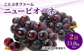 ぶどう 2026年 先行予約 ニューピオーネ２房入り 合計1.0kg以上 岡山県 赤磐市 ブドウ 葡萄 果物 フルーツ