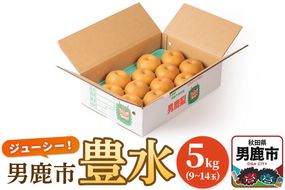 【令和8年度 早期受付】豊水 5kg 9～14玉 梨 なし ナシ 秋田県 男鹿市 旬の果物 フルーツ|23_fre-020501