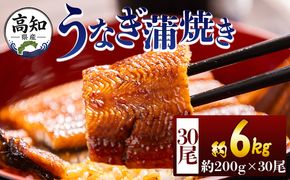 うなぎ 高知県産蒲焼きうなぎ ２００ｇ ３０尾 計６０００ｇ fb-0189