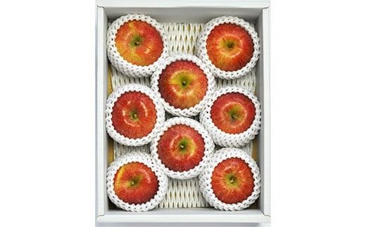 FYN9-688 《2026年先行予約》贈答用 山形県産 高徳 りんご 約2kg(6～12玉) 2026年10月下旬頃から順次発送 林檎 リンゴ 小玉 蜜 秋果実 果物 くだもの フルーツ 贈り物 ギフト プレゼント 化粧箱 産地直送 山形県 西川町 月山