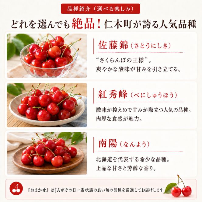 2027年発送北海道 仁木町産 7月旬 さくらんぼ 1kg（500g×2） サクランボ チェリー フルーツ 果物 果物類  仁木町 仁木 [JA新おたる]