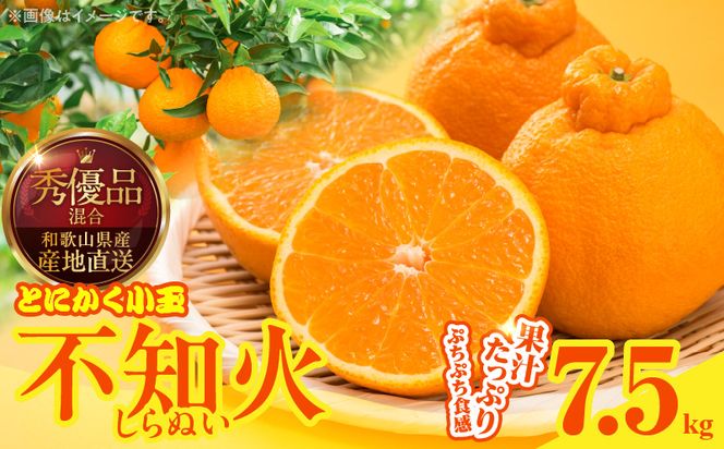 MK1016_不知火 (しらぬい) とにかく小玉 箱込 7.5kg (内容量約6.8kg) 秀品 優品 混合