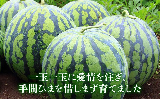 【2026年夏発送】ふらの山部の秀品スイカ『鳳凰スイカ』5kg以上 1玉(坂口農産) 北海道 富良野産 すいか 西瓜 夏 フルーツ 果物 くだもの 青果
