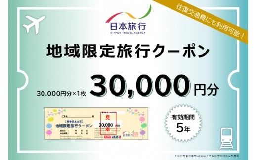 沖縄県石垣市　日本旅行　地域限定旅行クーポン30,000円分 【 沖縄県石垣市 チケット 旅行 宿泊券 ホテル 観光 旅行 旅行券 交通費 体験 宿泊 夏休み 冬休み 家族旅行 ひとり カップル 夫婦 親子 トラベルクーポン 石垣島旅行 】 NR-1