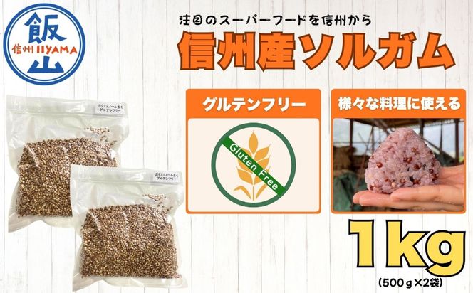 【先行予約】飯山産ソルガム 1kg (500ｇ×2袋) 《出荷時期：2026年12月中旬頃〜》（Cn-002）