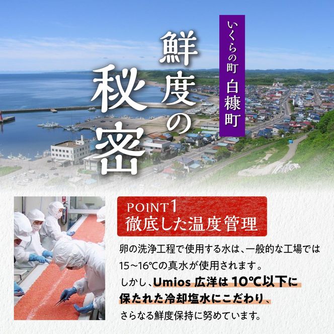 いくら醤油漬（鱒卵・鮭卵）食べ比べセット【計800g（各400g ）】
