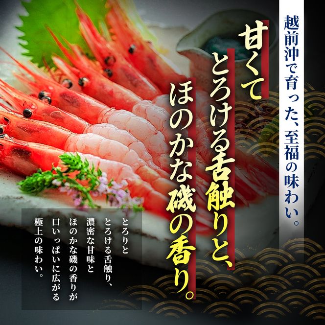 甘えび 刺身 500g 約50尾 越前甘えび 子なし 生食用 冷凍 えび エビ 海老 甘海老 あまえび 海鮮 魚介 魚介類 国産 日本海 福井県 若狭町