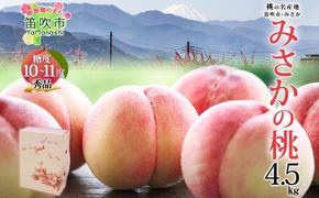 【2026年発送★先行予約】桃 秀品 4.5kg 糖度10％以上※クール便配送 177-006