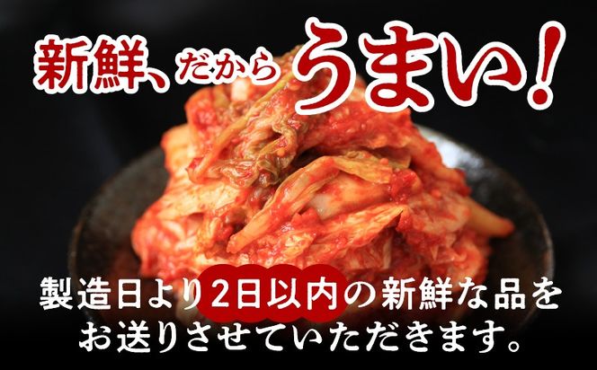 099Z247 定期便 白菜キムチ 1kg × 6回【毎月配送コース 高評価 人気 惣菜 きむち 漬物 韓国グルメ おつまみ 家計応援 お楽しみ 福袋】