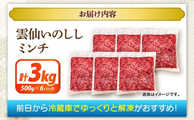 猪肉 ミンチ 3kg 雲仙いのしし / ひき肉 肉 イノシシ ジビエ いのしし ハンバーグ / 南島原市 / もりのめぐみ[SDB014]