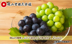 ぶどう 2026年 先行予約 種無し ぶどう 詰合せ 2房 合計1.2kg以上 マスカット ブドウ 葡萄 岡山県産 国産 フルーツ 果物 ギフト 環山堂 大粒 甘い 甘酸っぱさ 人気 香り 皮ごと 高糖度 贈り物 [№5735-1429]