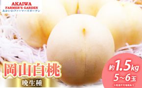 桃 2026年 先行予約 岡山の 白桃 (晩生種) 約1.5kg 5～6玉 もも 岡山県 赤磐市産 フルーツ 果物 あかいわファーマーズガーデン