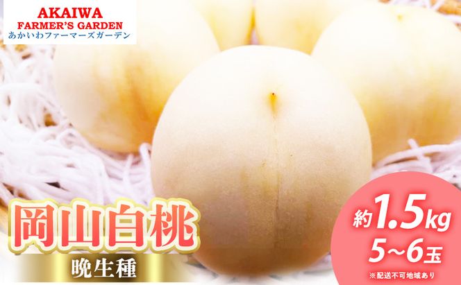 桃 2026年 先行予約 岡山の 白桃 (晩生種) 約1.5kg 5～6玉 もも 岡山県 赤磐市産 フルーツ 果物 あかいわファーマーズガーデン