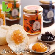 島ジャム５種セット　　[オレンジ ブルーベリー いちじく びわ ]