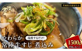やわらか 常陸牛 すじ 煮込み 250g × 6パック (計 1500g )【茨城県共通返礼品】　牛すじ 牛肉 肉 和牛 にく 牛すじ肉 [FE024us]