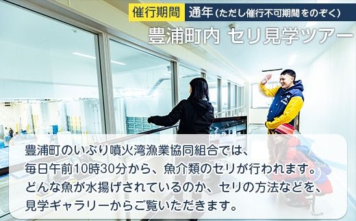 【豊浦町内】セリ見学ツアー（4人用） ふるさと納税 人気 おすすめ ランキング 体験 イベント 魚介 セリ 水揚げ 見学 4人 北海道 豊浦町 送料無料 TYUL024