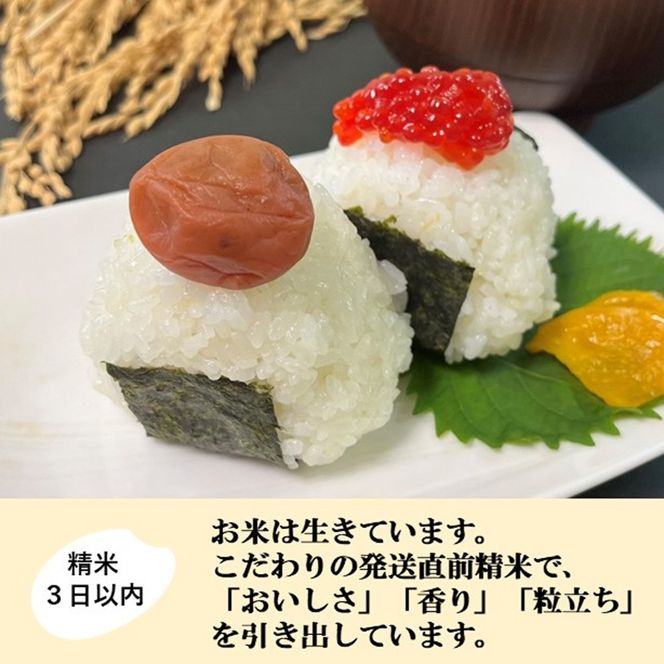 【令和8年産】【日本農業賞大賞】ひゃくまん穀2.7kg精白米 能美市 お米 精米銘柄米 精米したて 一等米 172111_AE002