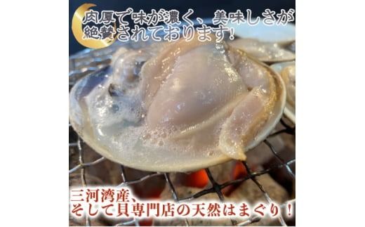 岬だよりの 希少 天然はまぐり 小サイズ 500g×4袋