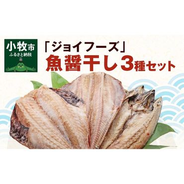 「ジョイフーズ」魚醤干し 干物３種セット[052S04]