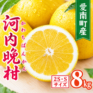 【先行予約】【数量限定】 河内晩柑 樹齢 30年以上 ちびっこ 8kg （ 2S ・ Sサイズ ）