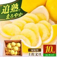 【先行予約】土佐文旦の創始 宮地文旦園の土佐文旦 家庭用2L 約10キロ 20～22個入り 10kg〈2027年3月上旬～4月下旬〉 ぶんたん ブンタン フルーツ 柑橘 みかん 果物 くだもの 柑橘類 デザート 高知県 土佐市【宮地文旦園】[BQBP006]