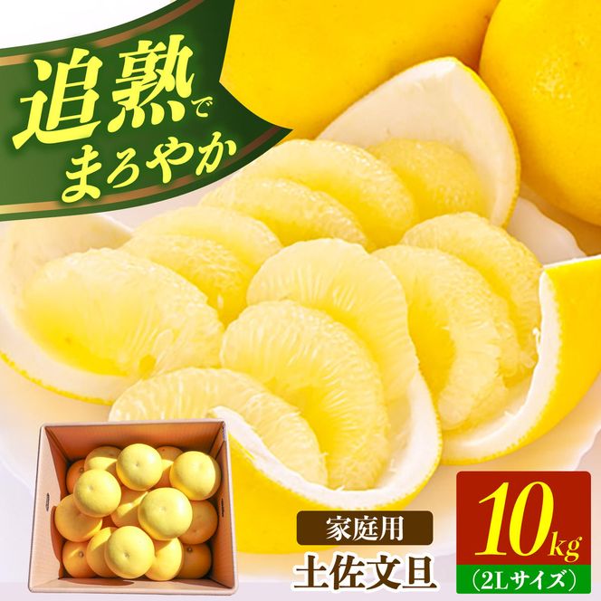 【先行予約】土佐文旦の創始 宮地文旦園の土佐文旦 家庭用2L 約10キロ 20～22個入り 10kg〈2027年3月上旬～4月下旬〉 ぶんたん ブンタン フルーツ 柑橘 みかん 果物 くだもの 柑橘類 デザート 高知県 土佐市【宮地文旦園】[BQBP006]