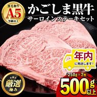 【30963】12月11日までのご入金で年内発送！鹿児島県産黒毛和牛！A5等級サーロインステーキ(計500g・約250g×2枚)国産 牛肉 肉 冷凍 サーロイン 鹿児島 ステーキ 焼肉 BBQ バーベキュー【前田畜産たかしや】