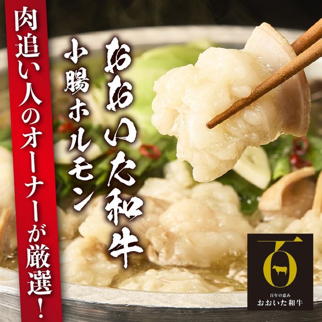 【秘伝のスープ付】おおいた和牛 小腸ホルモン400g×2パック_2680R もつ鍋 塩もつ もつ煮込み 旨塩 ミシュラン 高級