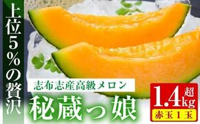 【春限定】極上メロン「秘蔵っ娘」赤玉(赤肉)1個 a5-060-s