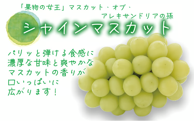 【2026年先行予約】花笑み農園 岡山の『ピオーネ＆シャインマスカット＆ラムピオーネジャム＆飲む酢』 【hana070-02】