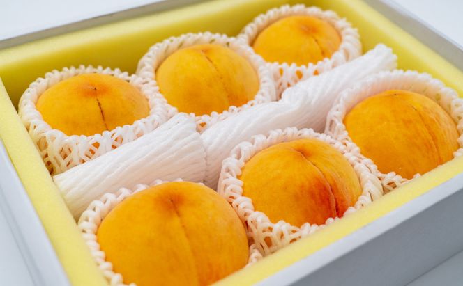 フルーツ 定期便 2026年 先行予約 岡山 の 桃 食べ比べ 定期便 3回コース もも モモ 岡山県産 国産 フルーツ 果物 セット ギフト 