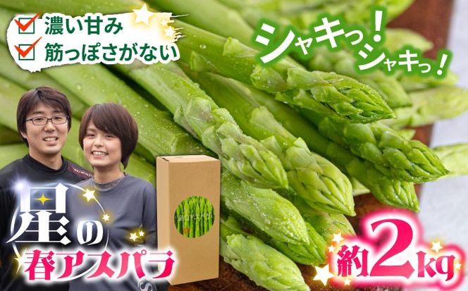 y茧쓇szy2026N3`zyʌzÂI_炩IỹAXpzI O[ AXpKX 2kg / AXp AXpKX  I / 쓇s / قYA [SEY002]