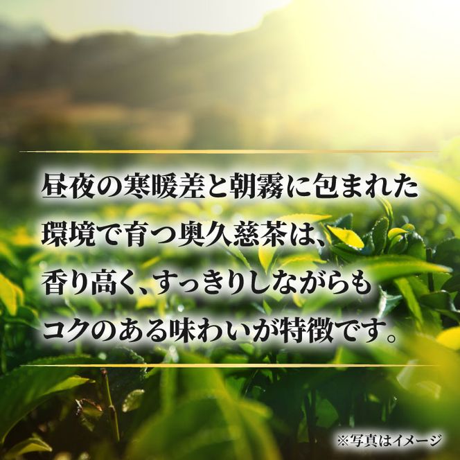 奥久慈茶 元気緑 (350ml×24本)|奥久慈茶　緑茶 日本茶 飲料 ペットボトル飲料 一番茶 国産 茨城県 大子町（AJ002）